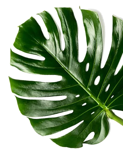 Humly Raumbuchungssysteme ppm-stuttgart / Berlin